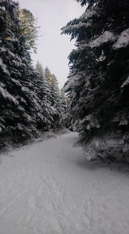 Auberge De Thelis المظهر الخارجي الصورة