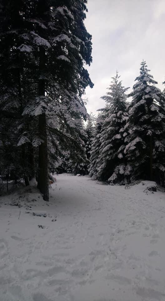 Auberge De Thelis المظهر الخارجي الصورة